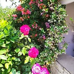Aloni 빌라 *